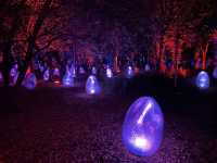 แสงสี ท่ามกลางธรรมชาติ ยามค่ำคืน ณ โอซาก้า