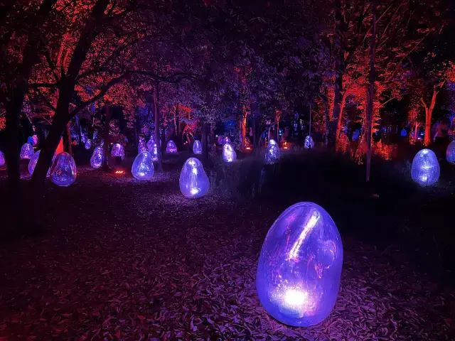 Lights and colors amidst nature at night in Osaka