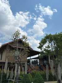 Volunteering & Camping at Mom Tik Camp Hotel, Maha Sarakham