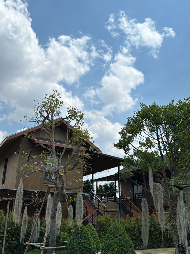 Volunteering & Camping at Mom Tik Camp Hotel, Maha Sarakham