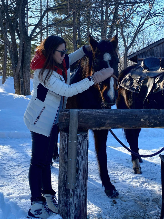 北海道旭川必體驗🐎夢幻雪地行程（老少咸宜）
