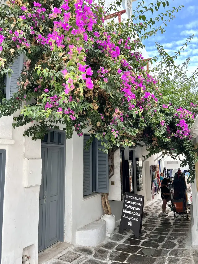 Spring in Mykonos: A Floral Wonderland