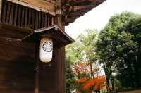 Once the Largest Wooden Structure in the World — Todaiji Temple in Nara