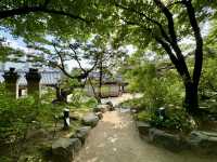 3 Days in Seoul: Palaces, History & Stunning Views
