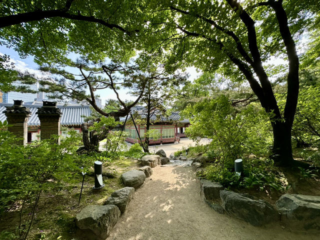 3 Days in Seoul: Palaces, History & Stunning Views