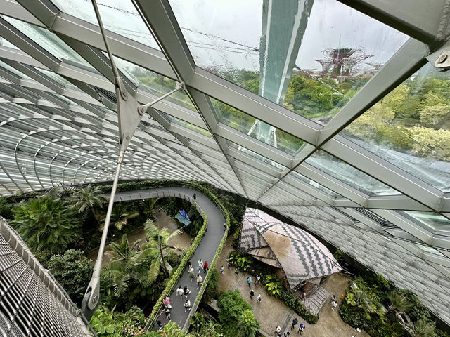 One Day in Singapore: Waterfalls, Lights & Futuristic Gardens