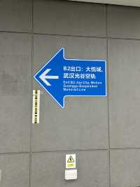 Wuhan, the Mega River City of China