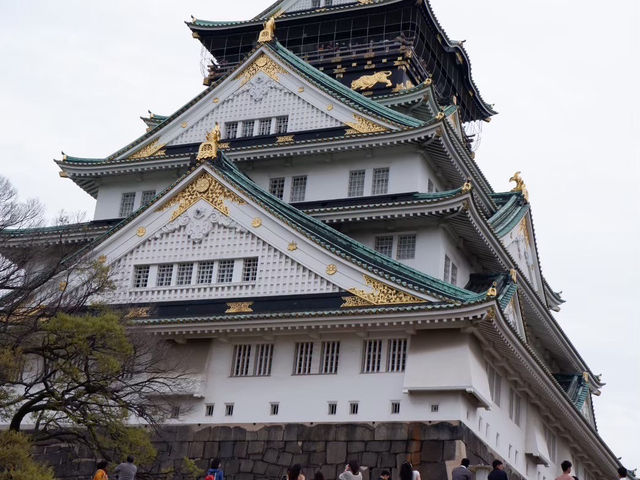 【大阪城｜桜に包まれる春の名所！お城×お花見の最強コンボ🌸🏯】