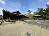 【奈良】鑑真が作った歴史ある寺院・唐招提寺