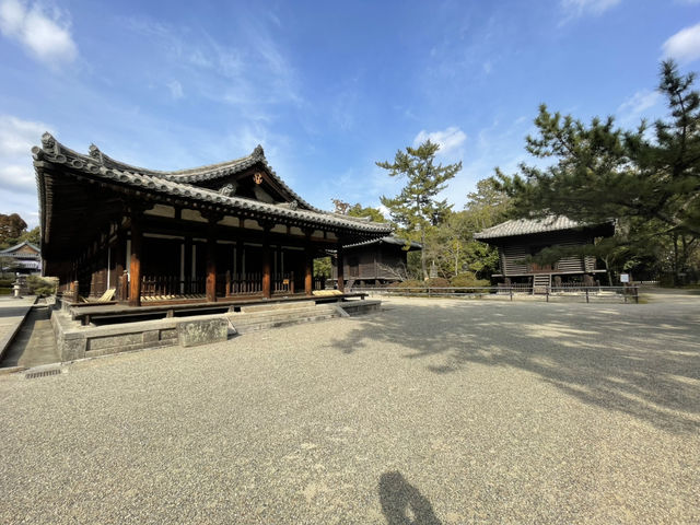 【奈良】鑑真が作った歴史ある寺院・唐招提寺