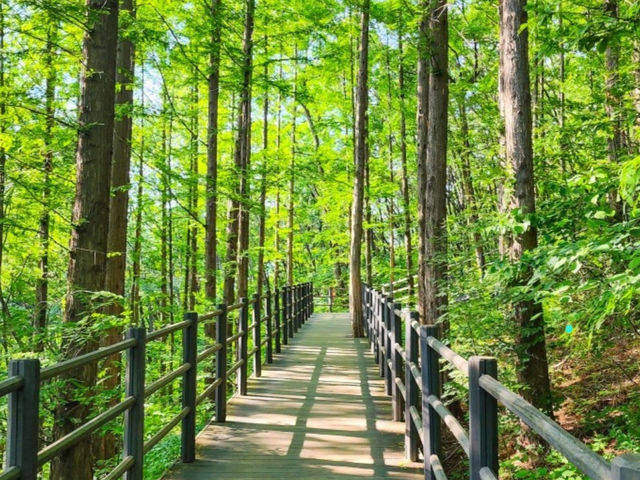 산책하기 좋은 곳 방문 추천