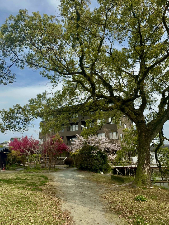 柳川~你会爱上的小镇