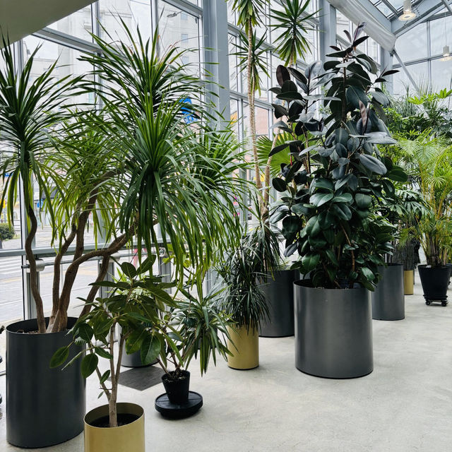 首爾植物館PH玻璃屋裡的夢幻植物展，拍照天堂等你來！🌿📸