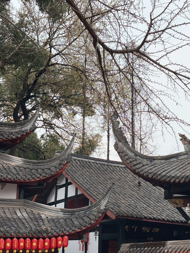 วัดเหวินซู วัดสวยและงดงาม เคียงคู่เมืองเฉิงตู