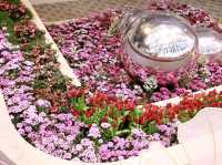 เที่ยวงานดอกไม้ Wondrous Bloom 