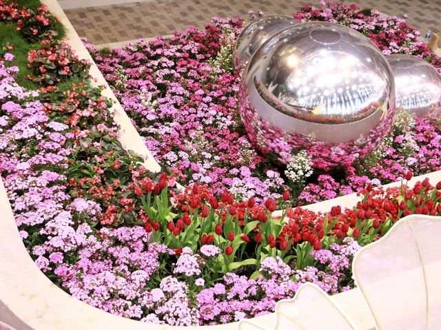 เที่ยวงานดอกไม้ Wondrous Bloom 