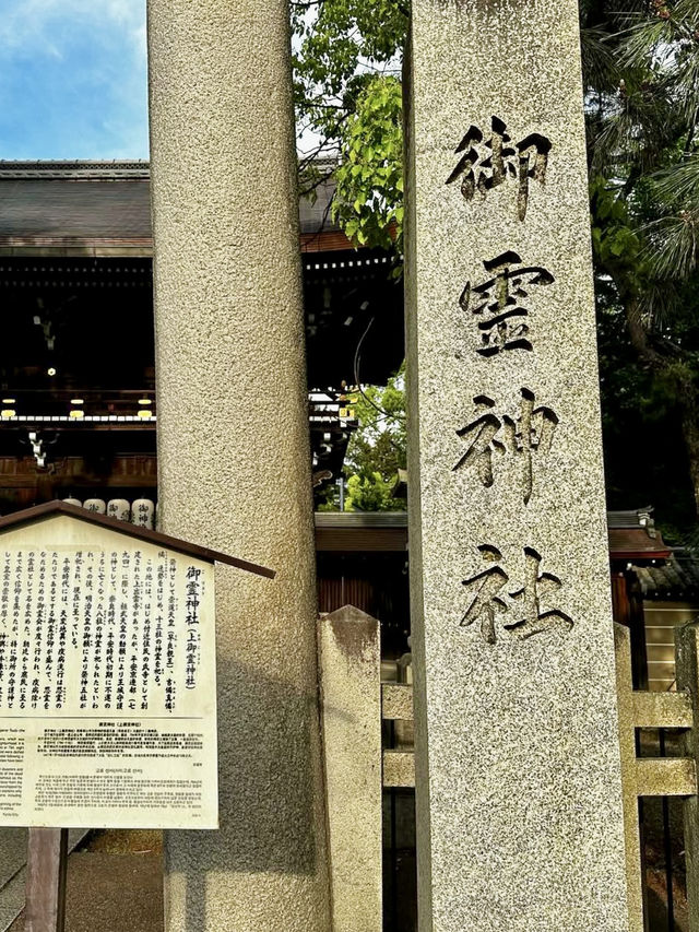 First Blooms of Spring at Goryo Shrine (Kamigoryo Shrine)