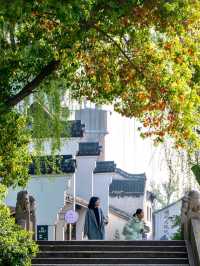 Nanxun Ancient Town: The Essence of Jiangnan’s Elegance