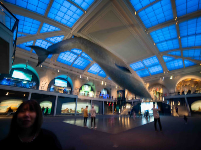 【American Museum of Natural Historyで1日を過ごす】🦖🌍