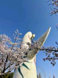 大阪賞櫻-萬博紀念公園，來張太陽之塔與櫻花同框合照！