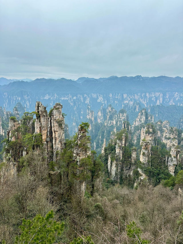 Zhangjiajie - no words to describe 