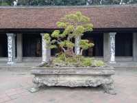 เที่ยวชานเมืองและในเมือง Haoi กันเถอะ✨️