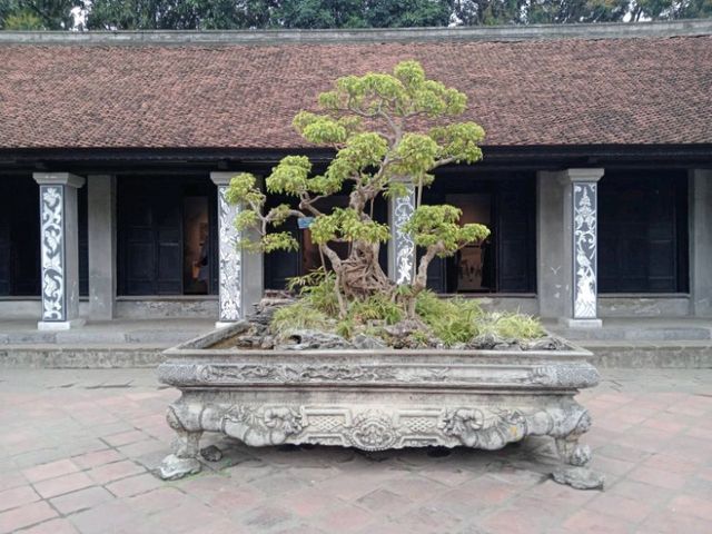 เที่ยวชานเมืองและในเมือง Haoi กันเถอะ✨️