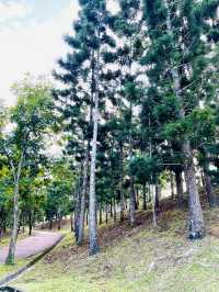 “KL’s Best-Kept Secret: The Lush Charm of Taman Saujana Hijau”