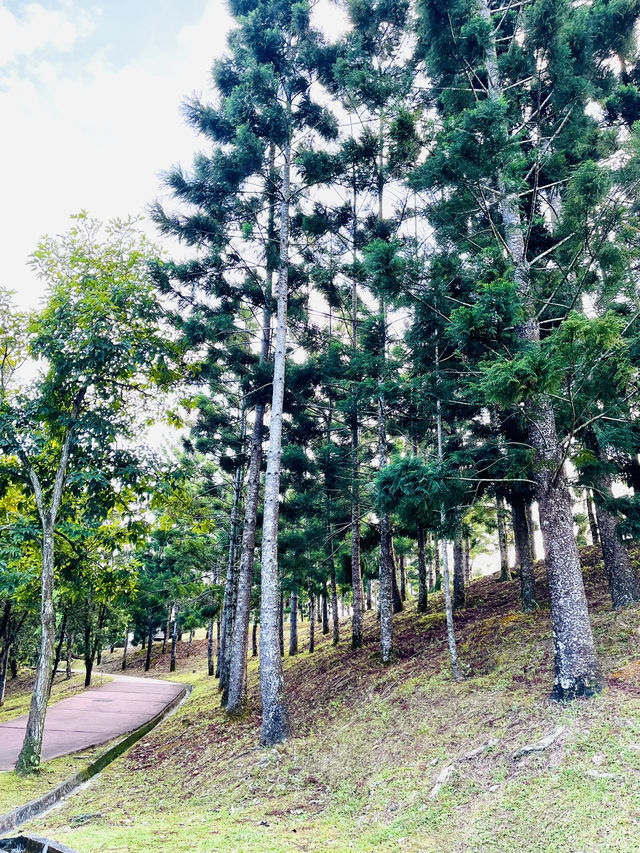 “KL’s Best-Kept Secret: The Lush Charm of Taman Saujana Hijau”
