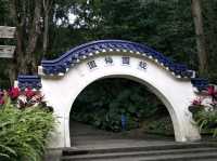 #奧爾森林學堂-桃園市桃園區