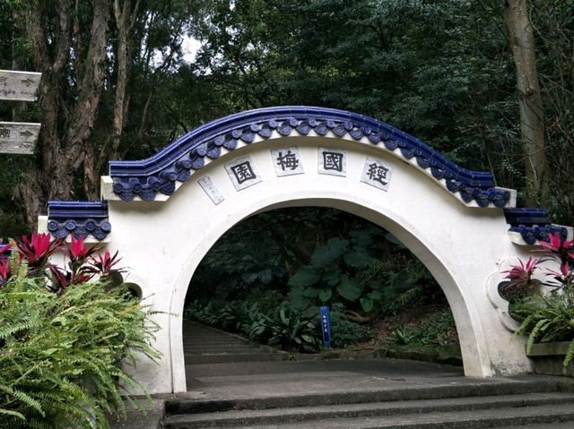 #奧爾森林學堂-桃園市桃園區