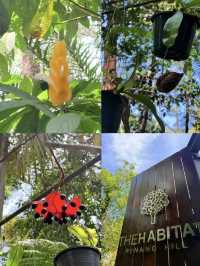 Step into a Ghibli-style fairytale world — in Malaysia!