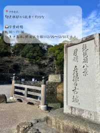 ひこにゃんで有名なお城🏯国宝 彦根城に行ってきた！
