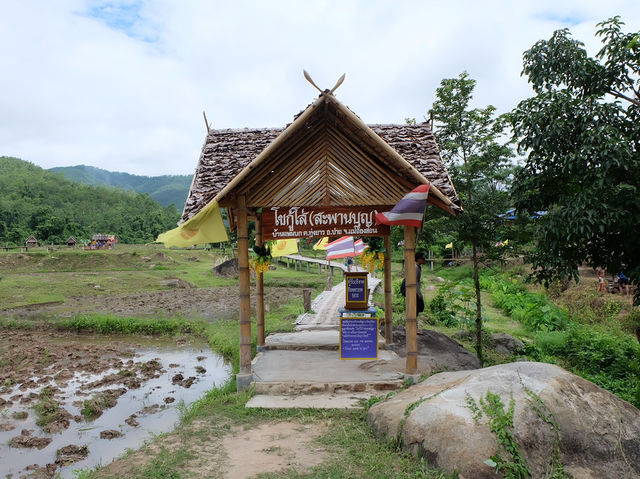 สะพานไม้ไผ่บ้านแพมบก (โขกู้โส่) 🌳