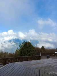 จุดชมวิว Zhushan Station Mt.Okasawara Alishan