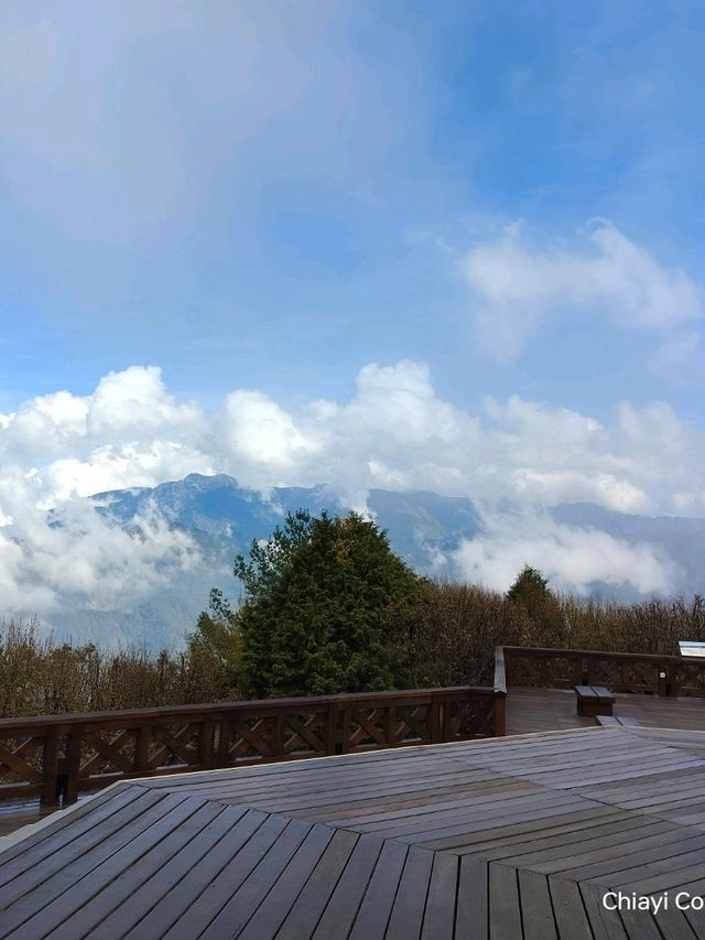 จุดชมวิว Zhushan Station Mt.Okasawara Alishan