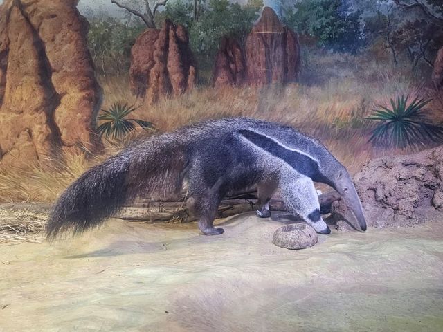 榮獲2大獎項的全球最大室內的樂園：飛船樂園