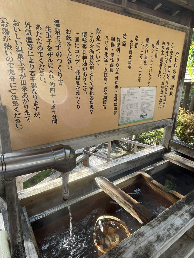【群馬】 ライトアップされたプール 自分で作る温泉卵
