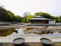名古屋-白鳥庭園，春櫻蕩漾，東海地區最大的池泉回遊式庭園