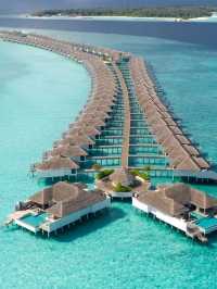 🌊 Paradise Found: The Stunning Maldives Islands!