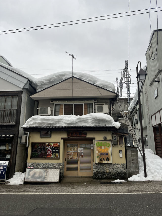 도쿄여행 근교 추천코스, 니가타현 에치고유자와 🌨️
