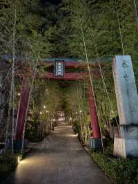 靜岡縣 來宮神社