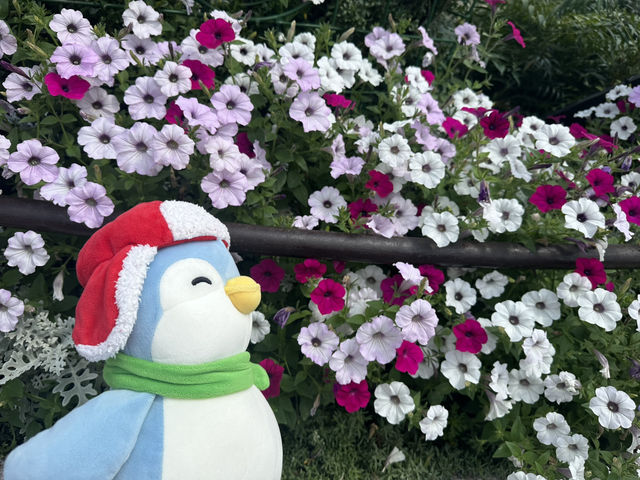 東京全九州11天旅程圓滿結束🥰😘😍