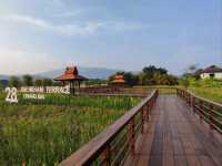 ทานอาหารท่ามกลาง วิวทุ่งนาเทือกเขาเรียงรายทอดยาว