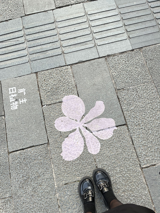 Xintiandi (新天地) 