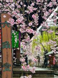 Whispers of Spring at Kyoto’s Rokkakudo