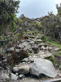 What you might wanna know before climbing Mount Kinabalu