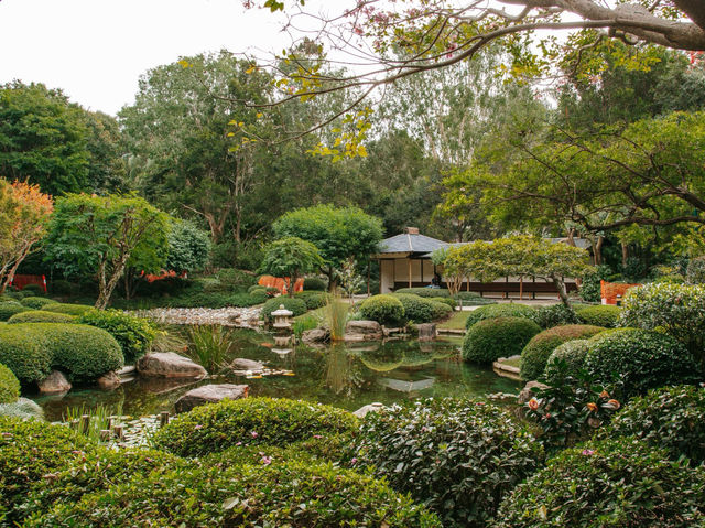 🌆✨ Brisbane City Centre Spring Getaway: Urban Oasis in 48 Hours