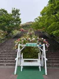 很舒適，一個大型公園