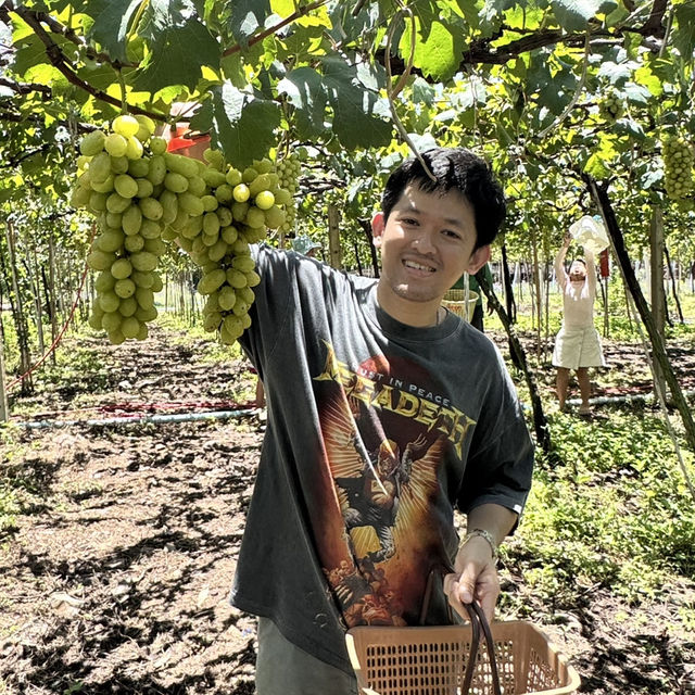 ไร่องุ่นมีสุข อำเภอสวนผึ้ง ราชบุรี